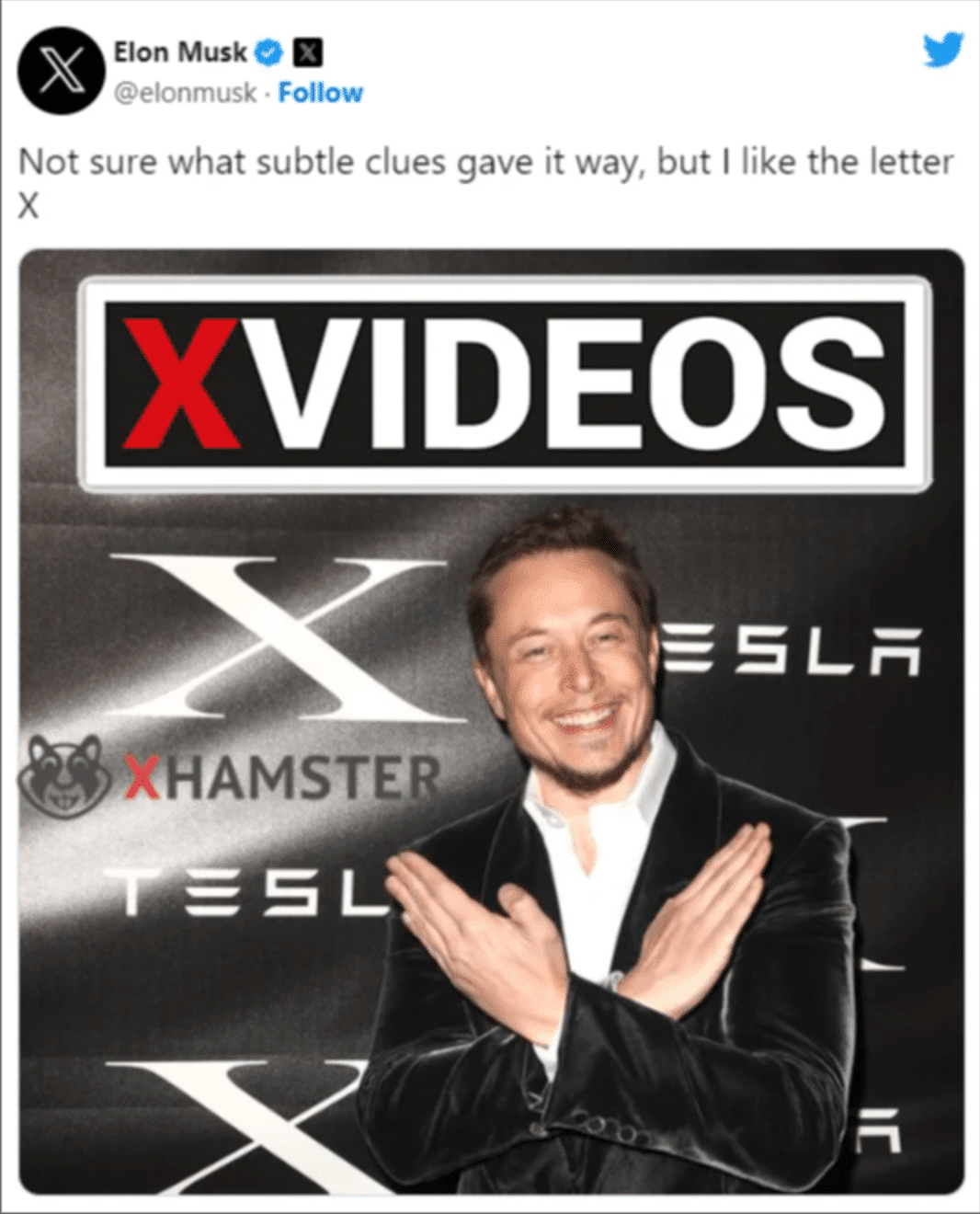 Elon Musk Buys XVideos